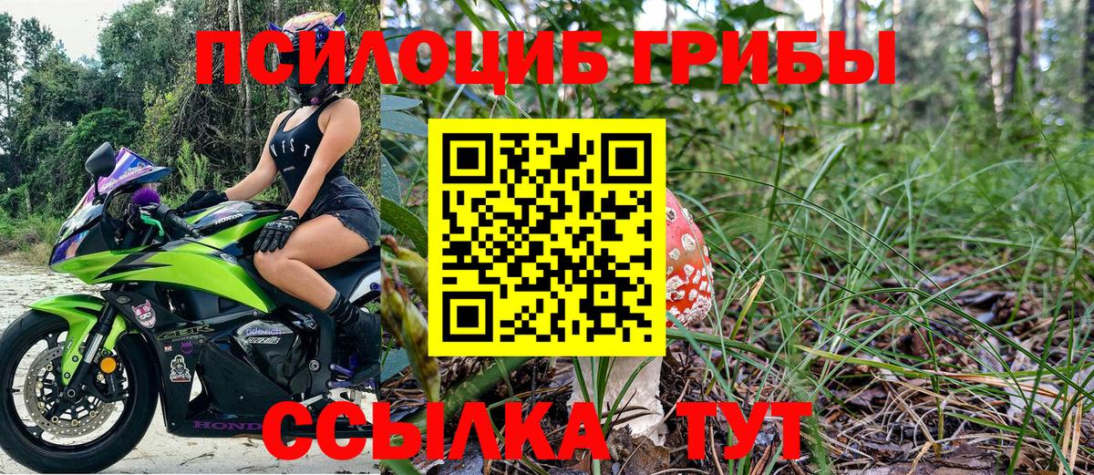 Галлюциногенные грибы Psilocybe Иркутск