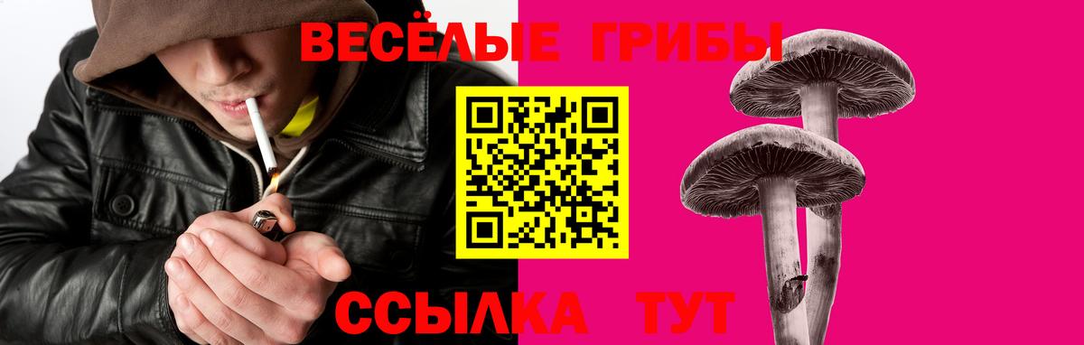 Псилоцибиновые грибы Magic Shrooms  наркота  Иркутск  Вход с VPN  Псилоцибиновые грибы Psilocybe 